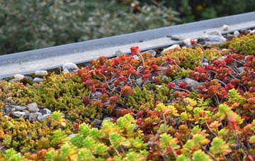 the cost of The Woodlands green roof installation