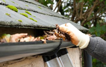 gutter cleaning The Woodlands